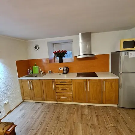 студіо на кoновальця Leopoli