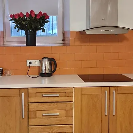 студіо на кoновальця *