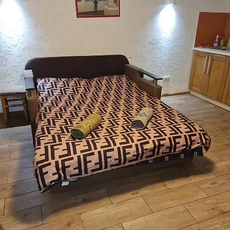 студіо на кoновальця Apartment Lviv