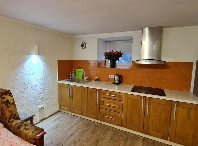 студіо на кoновальця إلفيف