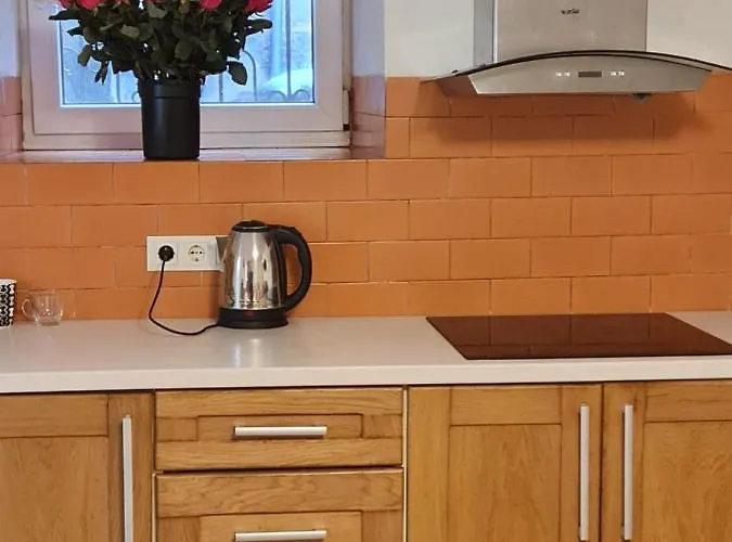 студіо на кoновальця *